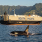 (South Pacific) ORCA ACE v.0069A 02.Nov.2026